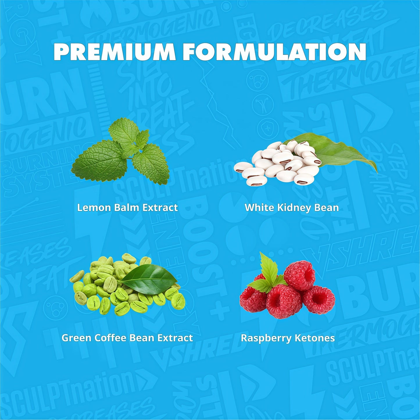 Sculpt Nation by V Shred Burn PM - Night Time Fat Burner - Appetite Suppressant and Weight Loss Support - Raspberry Ketones, Green Coffee Bean Extract, Melatonin - 60 Gluten Free Capsules