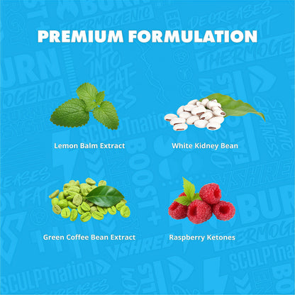 Sculpt Nation by V Shred Burn PM - Night Time Fat Burner - Appetite Suppressant and Weight Loss Support - Raspberry Ketones, Green Coffee Bean Extract, Melatonin - 60 Gluten Free Capsules